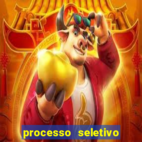 processo seletivo cerejeiras 2024