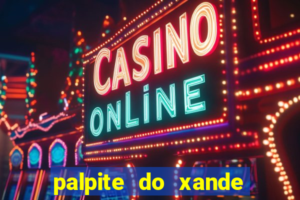 palpite do xande para hoje