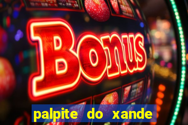 palpite do xande para hoje