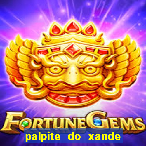 palpite do xande para hoje