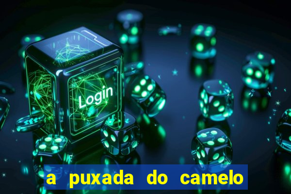 a puxada do camelo no jogo do bicho