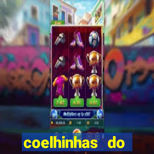 coelhinhas do brasil jp