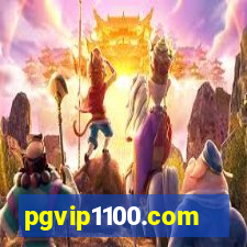 pgvip1100.com