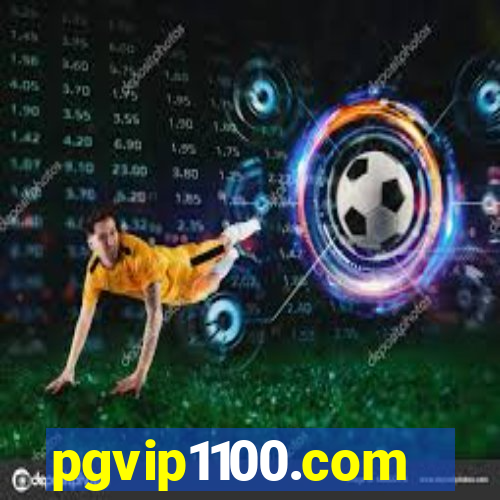 pgvip1100.com