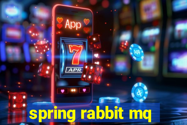 spring rabbit mq