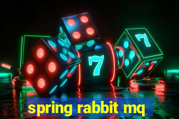 spring rabbit mq