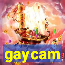 gaycam