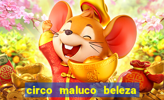 circo maluco beleza recife circo maluco