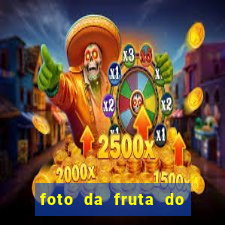 foto da fruta do blox fruits