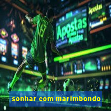 sonhar com marimbondo