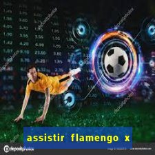 assistir flamengo x bahia multicanais