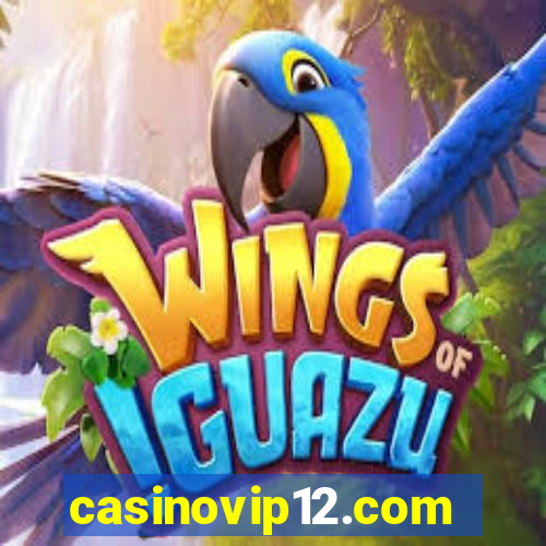 casinovip12.com