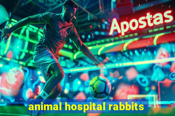 animal hospital rabbits