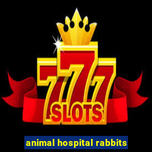 animal hospital rabbits