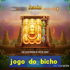 jogo do bicho crash bingo