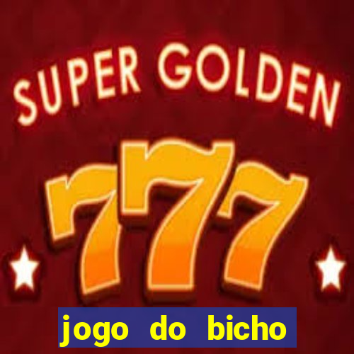 jogo do bicho crash bingo