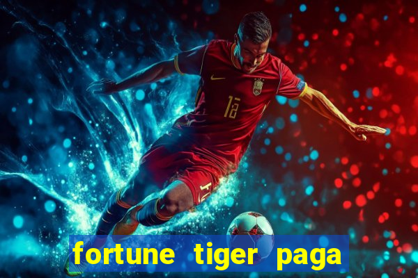 fortune tiger paga de madrugada