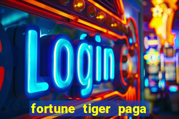 fortune tiger paga de madrugada