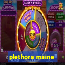 plethora maine