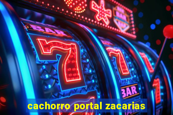 cachorro portal zacarias