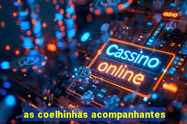 as coelhinhas acompanhantes