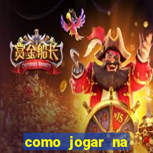 como jogar na seninha online