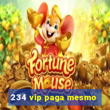 234 vip paga mesmo