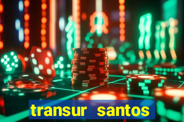 transur santos dumont x juiz de fora 2024