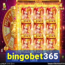 bingobet365