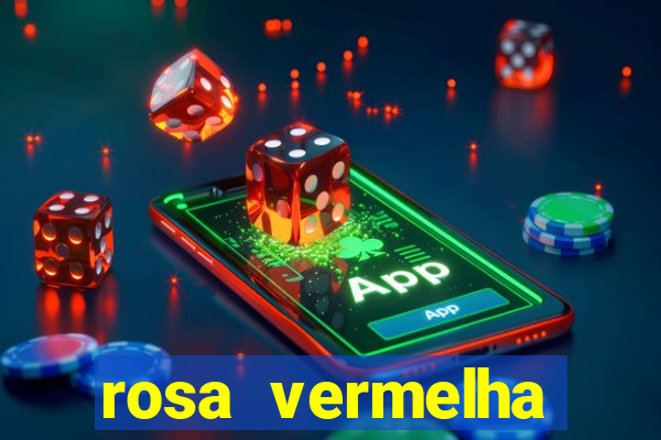 rosa vermelha (letra e cifra)