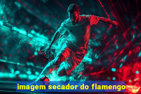 imagem secador do flamengo