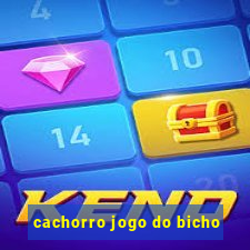 cachorro jogo do bicho