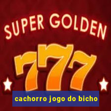 cachorro jogo do bicho