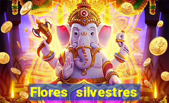 Flores silvestres brasileiras 25