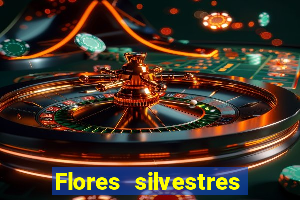 Flores silvestres brasileiras 25