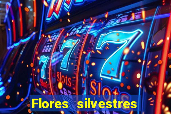 Flores silvestres brasileiras 25