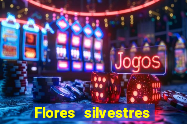 Flores silvestres brasileiras 25