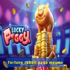 fortune rabbit paga mesmo