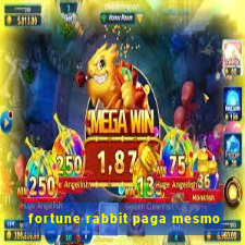 fortune rabbit paga mesmo