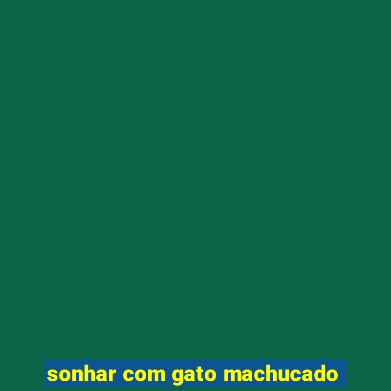 sonhar com gato machucado