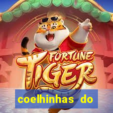 coelhinhas do brasil site