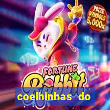 coelhinhas do brasil site