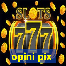 opini pix