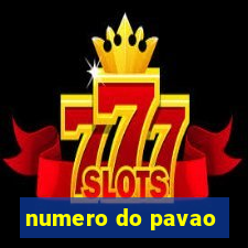 numero do pavao