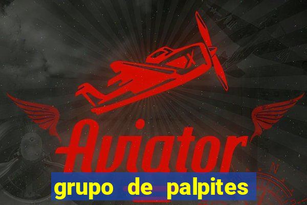 grupo de palpites de futebol whatsapp