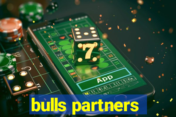 bulls partners