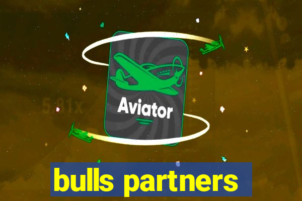 bulls partners