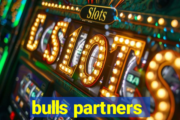 bulls partners