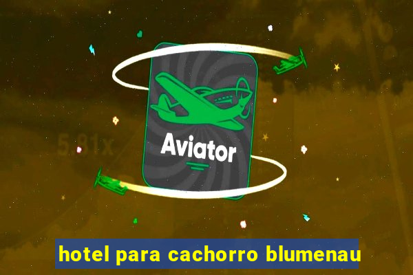 hotel para cachorro blumenau