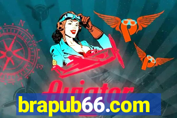 brapub66.com